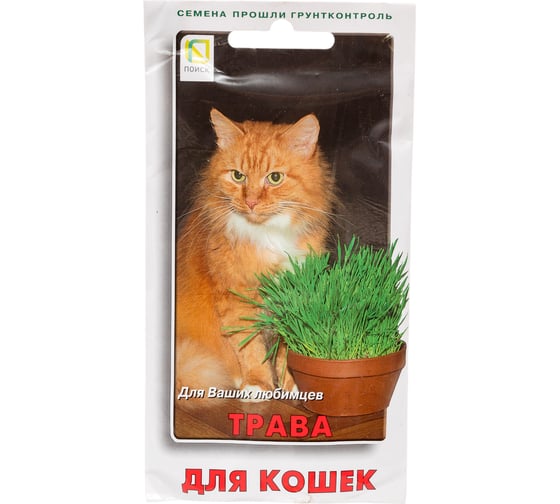 Трава для кошек Агрохолдинг ПОИСК 10гр 520188 1