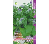 Бораго Агрохолдинг ПОИСК Огуречная трава Гном (А) 0,5гр 170313