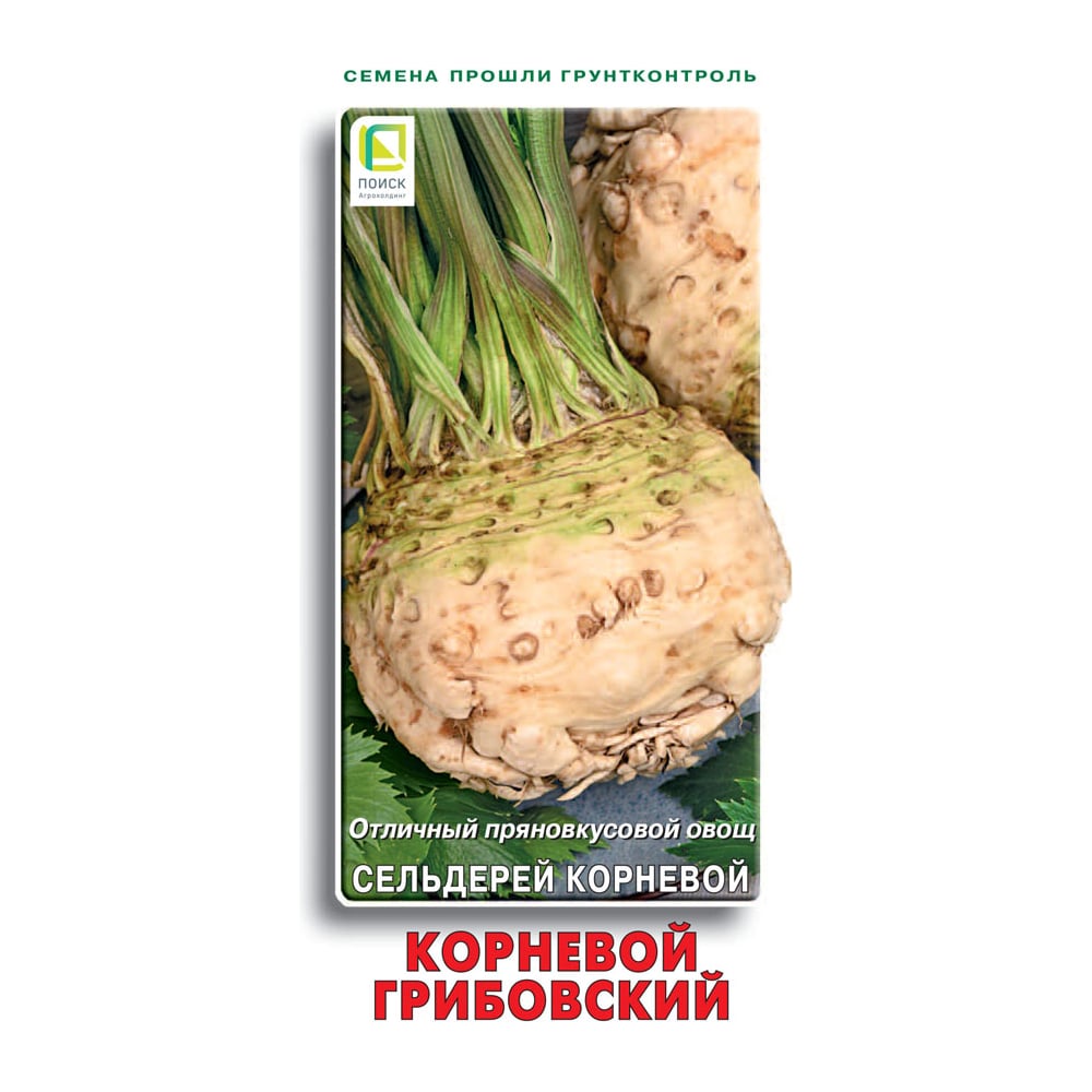 Сельдерей корневой Агрохолдинг ПОИСК Корневой Грибовский 0,5гр 480168 ...
