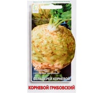 Сельдерей корневой Агрохолдинг ПОИСК Корневой Грибовский 0,5гр 480168