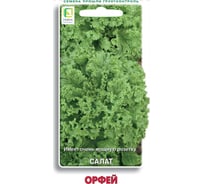 Салат Агрохолдинг ПОИСК Орфей 1гр 698115