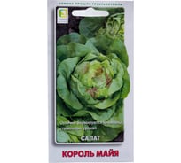 Салат Агрохолдинг ПОИСК Король майя (А) 1гр 470485