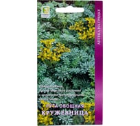 Рута овощная Агрохолдинг ПОИСК Кружевница 25шт 730911