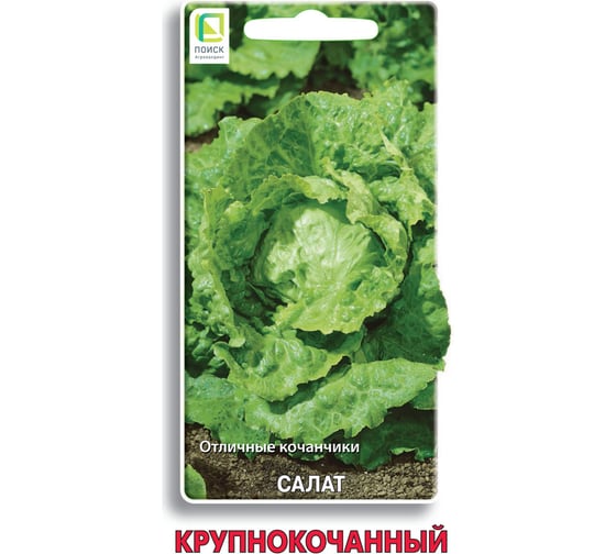 Салат Агрохолдинг ПОИСК Крупнокочанный 1гр ЧБ 470493 1