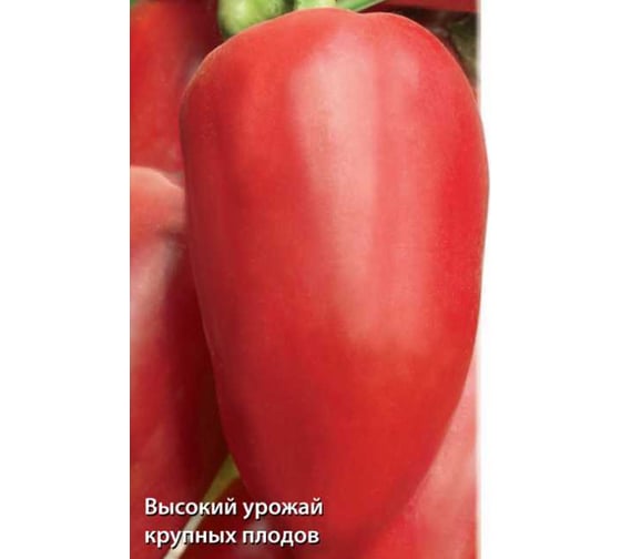 Перец сладкий Агрохолдинг ПОИСК Виктория 0.25 гр ЧБ 410473