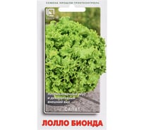 Салат Агрохолдинг ПОИСК Лолло Бионда 1гр 697122