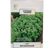 Салат Агрохолдинг ПОИСК Витаминный (А) 1гр ОИ 706146