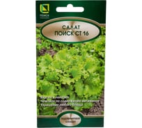 Салат Агрохолдинг ПОИСК Поиск СТ16 (А) 1гр 799447