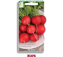 Редис Агрохолдинг ПОИСК Жара 3гр 440839