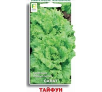 Салат Агрохолдинг ПОИСК Тайфун 1гр 701888