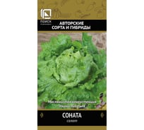 Салат Агрохолдинг ПОИСК Соната (А) 1гр 470582