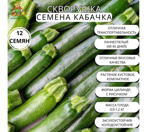 Кабачок Агрохолдинг ПОИСК Скворушка 12шт ЧБ 722985