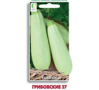 Кабачок Агрохолдинг ПОИСК Грибовские 37 2гр ЧБ 712188