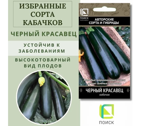 Кабачок Агрохолдинг ПОИСК Черный красавец 12шт ЧБ 270603