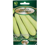 Кабачок Агрохолдинг ПОИСК Искандер F1 5шт 717435