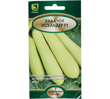 Кабачок Агрохолдинг ПОИСК Искандер F1 5шт 717435