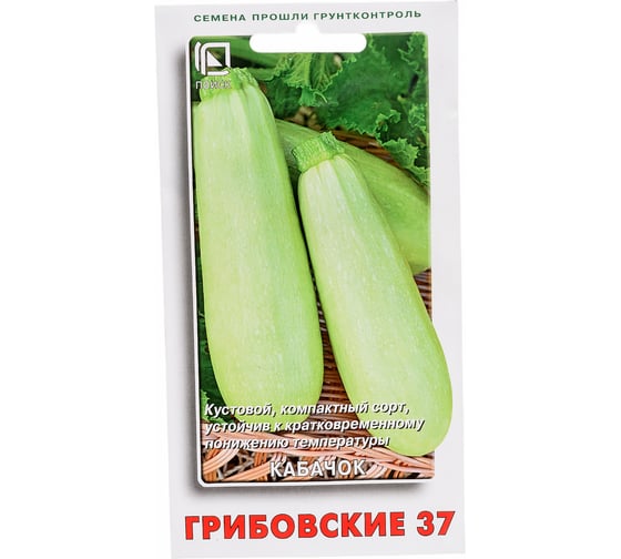 Кабачок Агрохолдинг ПОИСК Грибовские 37 12шт 270463