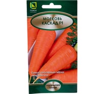 Морковь Агрохолдинг ПОИСК Каскад F1 0,5гр 370385