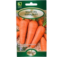 Морковь Агрохолдинг ПОИСК Канада F1 0,5гр 370366