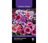 Гвоздика Агрохолдинг ПОИСК Диана Пикоти Микс 10шт 825441