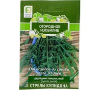 Двурядник тонколистный Агрохолдинг ПОИСК Стрелы Купидона (А) 1гр ОИ 724005