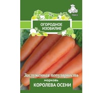 Морковь Агрохолдинг ПОИСК Королева осени 2 гр ОИ 705998 34111081