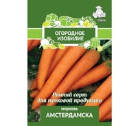 Морковь Агрохолдинг ПОИСК Амстердамска 2 гр ОИ 724029