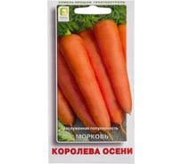 Морковь Агрохолдинг ПОИСК Королева осени 2 гр 370391