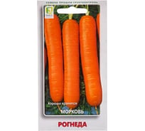 Морковь Агрохолдинг ПОИСК Рогнеда 2 гр 370483