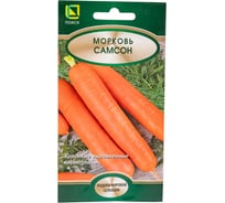 Морковь Агрохолдинг ПОИСК Самсон 2 гр 370502