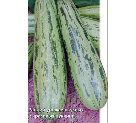 Кабачок Агрохолдинг ПОИСК Зебра 12 шт ЧБ 270487