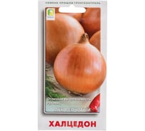 Лук репчатый Агрохолдинг ПОИСК Халцедон 1 гр 350556