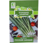 Лук батун Агрохолдинг ПОИСК Русский зимний 1 гр ОИ 705995