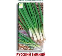 Лук батун Агрохолдинг ПОИСК Русский зимний 1 гр 350326