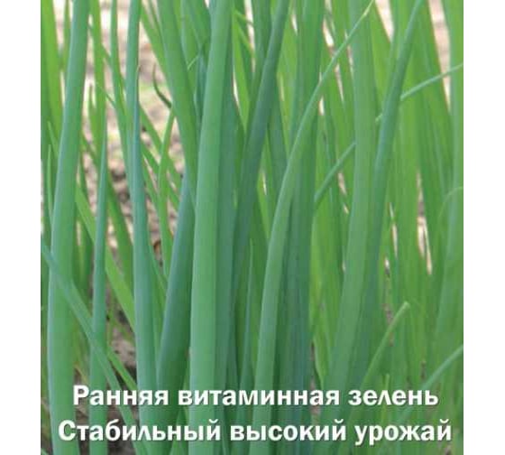 Лук батун Агрохолдинг ПОИСК Лонг Токио 1 гр ЧБ 670081 1