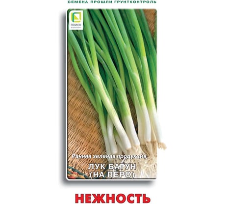 Лук батун Агрохолдинг ПОИСК Нежность 1 гр 350319