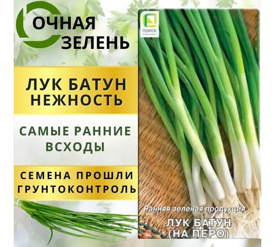 Лук батун Агрохолдинг ПОИСК Нежность 1 гр 350319