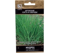 Лук шнитт Агрохолдинг ПОИСК Мудрец (А) 0.5 гр 350575