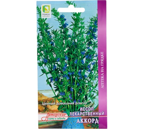 Иссоп лекарственный Агрохолдинг ПОИСК Аккорд (А) 0.5 гр 270406