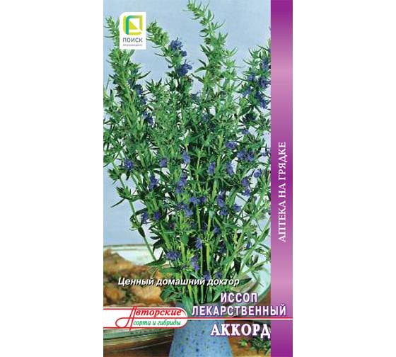 Иссоп лекарственный Агрохолдинг ПОИСК Аккорд (А) 0.5 гр 270406