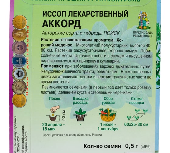 Иссоп лекарственный Агрохолдинг ПОИСК Аккорд (А) 0.5 гр 270406