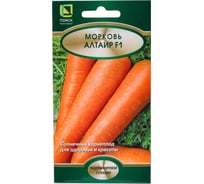 Морковь Агрохолдинг ПОИСК Алтаир F1 1 гр 794248