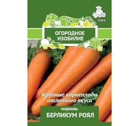 Морковь Агрохолдинг ПОИСК Берликум Роял (А) 2 гр ОИ 724030