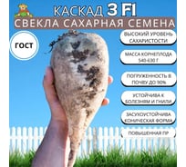 Свекла сахарная Агрохолдинг ПОИСК Каскад 3 F1 4гр 724519