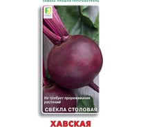 Свекла столовая Агрохолдинг ПОИСК Хавская 3гр 470984