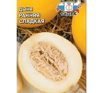 Дыня СеДек Ранняя Сладкая (ср.ранний, округл., желт., оч.сладк, 2-3 кг.) Евро 0,5 14183
