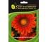 Гацания ELITE PLANT-BREEDING & SEED PRODUCTION Co. Нью Дей Бронз Шейдз F1 30 шт ЭС мини 1026993756 1