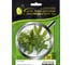 Микрозелень-семена для проращивания Кориандр Дебют ELITE PLANT-BREEDING & SEED PRODUCTION Co. 20 г ЭС мини 1070009682 1