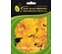 Бархатцы ELITE PLANT-BREEDING & SEED PRODUCTION Co. откл Бонанза Голд 500 шт ЭС 1910606 1