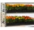 Бархатцы ELITE PLANT-BREEDING & SEED PRODUCTION Co. откл Бонанза Голд 500 шт ЭС 1910606 3